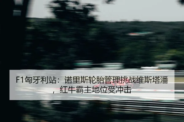 xiong-ya-li-zhan-nuo-li-si-lun-tai-guan-li-tiao-zhan-wei-si-ta-pan-hong-niu-ba-zhu-di-wei-shou-chong-ji-2-365.jpg
