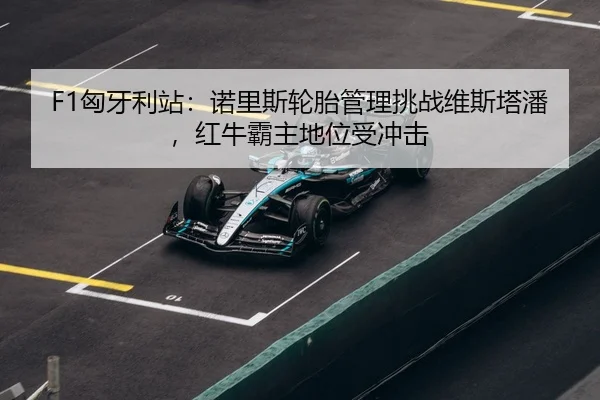 xiong-ya-li-zhan-nuo-li-si-lun-tai-guan-li-tiao-zhan-wei-si-ta-pan-hong-niu-ba-zhu-di-wei-shou-chong-ji-3-558.jpg